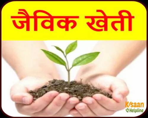 कृषि रसायनों के ऊपर निर्भरता कम करने के लिए आवश्यक है की जैविक खेती या जीरो बजट खेती को लोकप्रिय बनाया जाय कृषि रसायनों के ऊपर निर्भरता कम करने के लिए आवश्यक है की जैविक खेती या जीरो बजट खेती को लोकप्रिय बनाया जाय